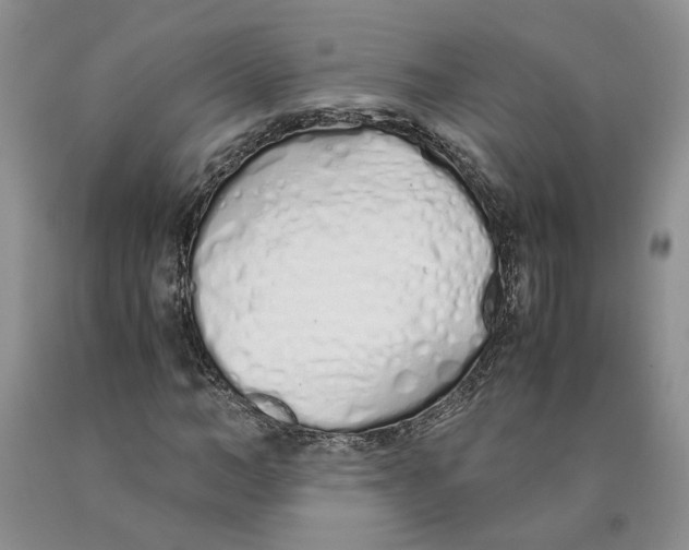 X0000089930966200707271754