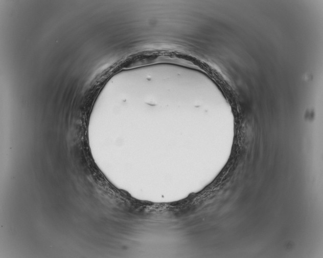 X0000089930967200707271754