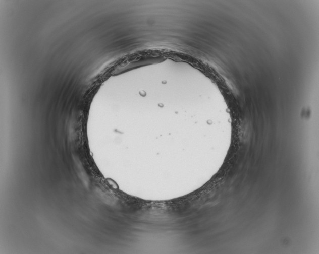 X0000089930968200707271754