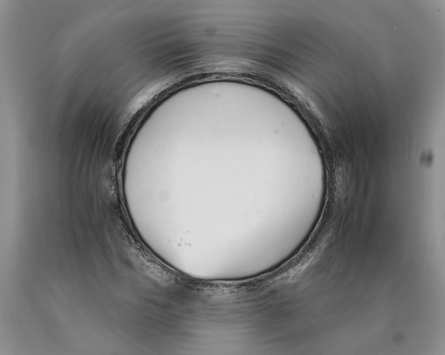 X0000089930970200707271754