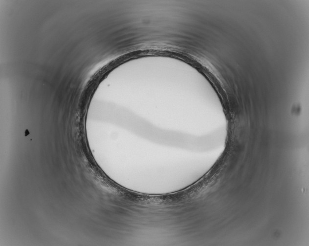 X0000089930971200707271754