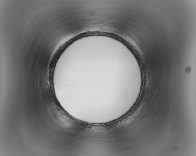 X0000089930974200707271754