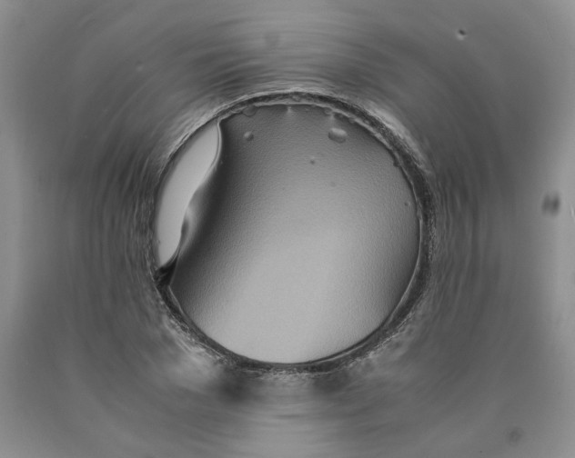 X0000089930977200707271754