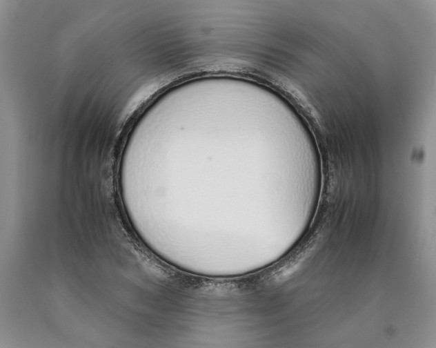 X0000089930978200707271754