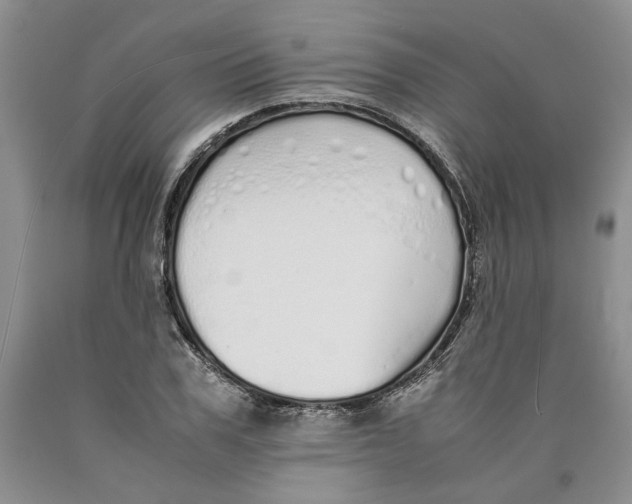 X0000089930979200707271754