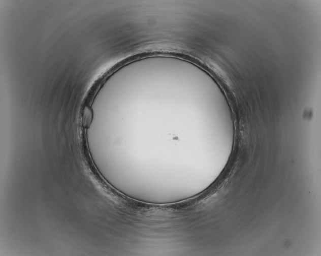 X0000089930981200707271754