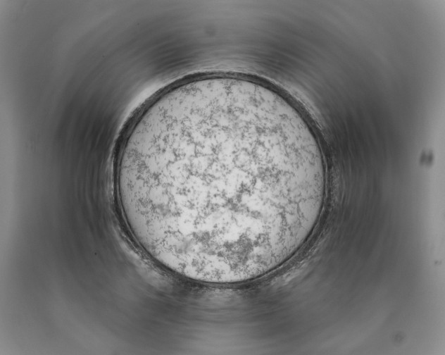 X0000089930982200707271754