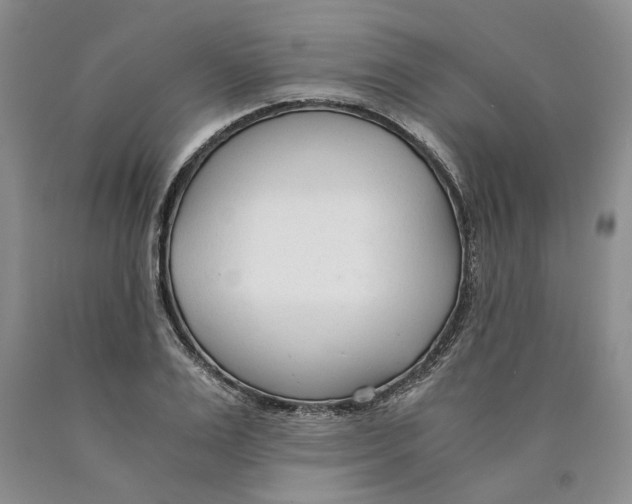 X0000089930983200707271754