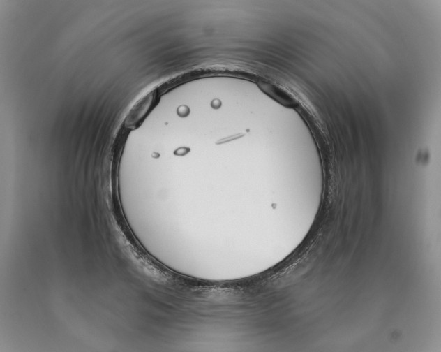 X0000089930984200707271754