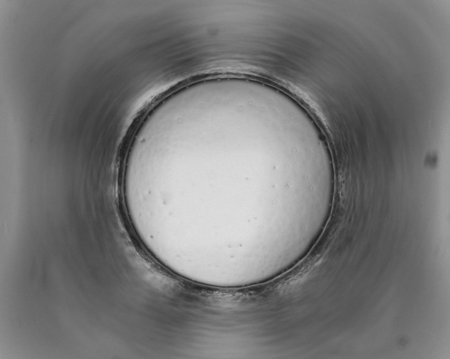 X0000089930987200707271754