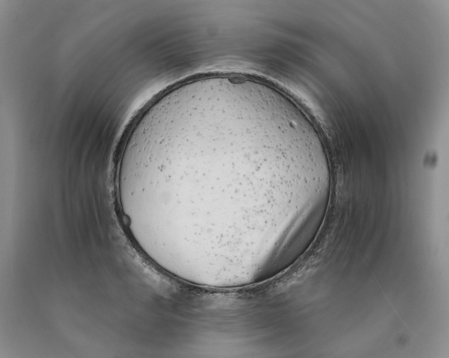 X0000089930990200707271754