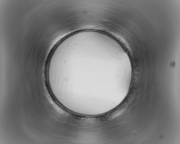 X0000089930991200707271754