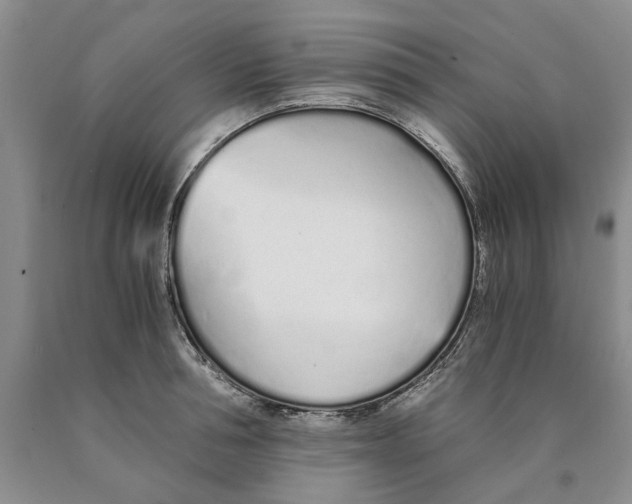 X0000089930994200707271754