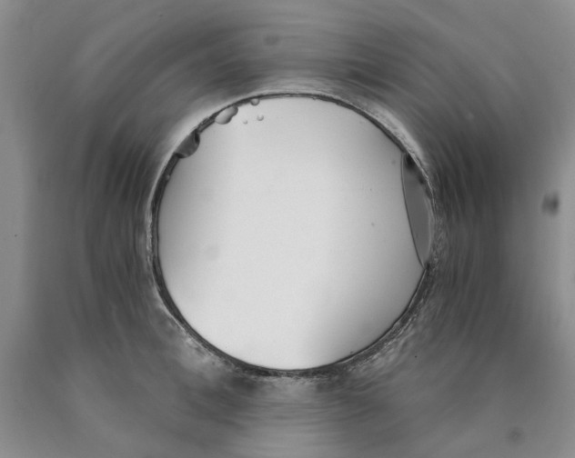 X0000089930996200707271754