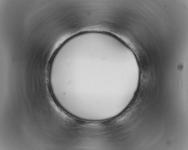 X0000089930998200707271754