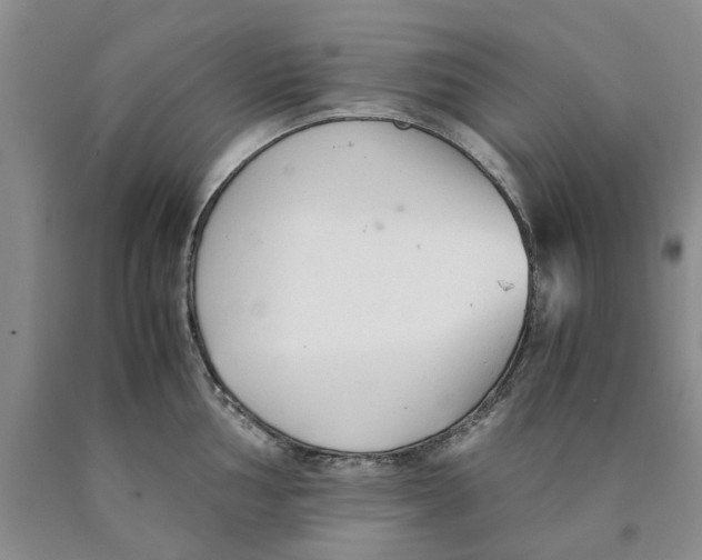 X0000089931002200707271754