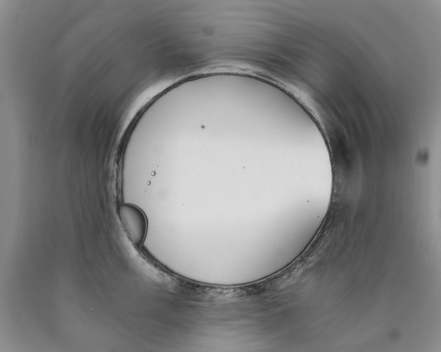 X0000089931003200707271754