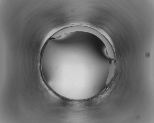 X0000089931005200707271754