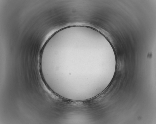 X0000089931006200707271754