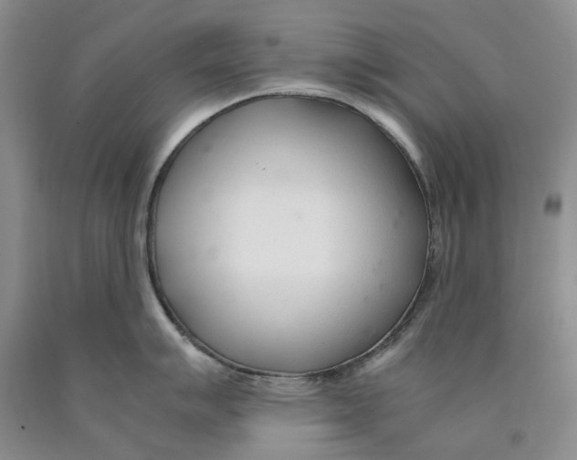 X0000089931007200707271754