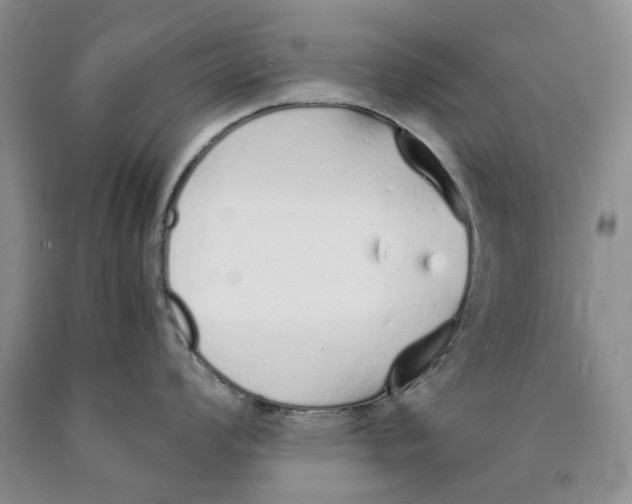 X0000089931008200707271754