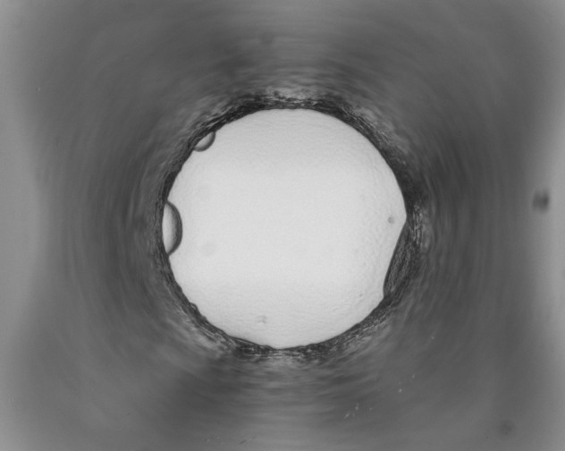 X0000089931009200707271753