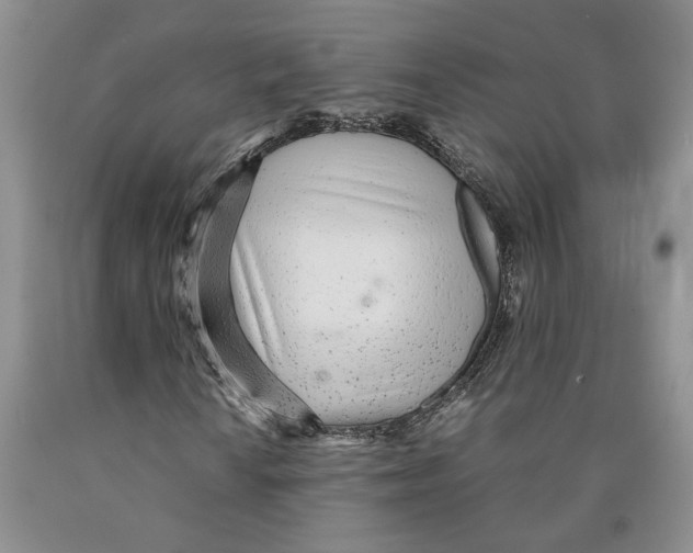 X0000089931010200707271753