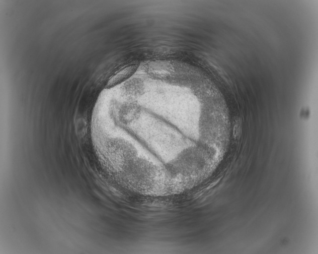 X0000089931011200707271753