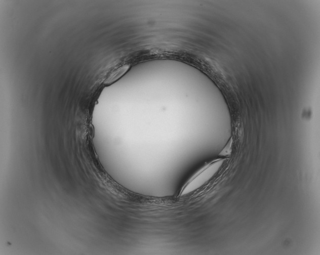 X0000089931012200707271753