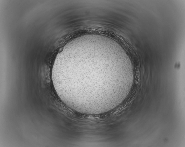 X0000089931013200707271753