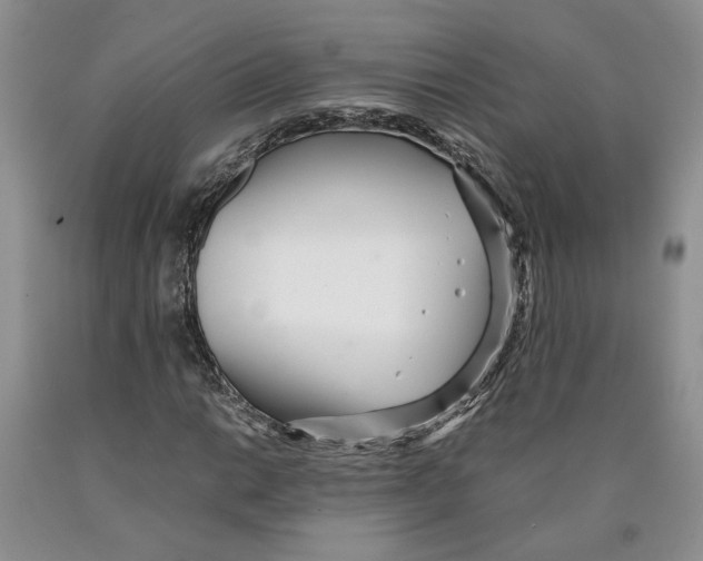 X0000089931014200707271753