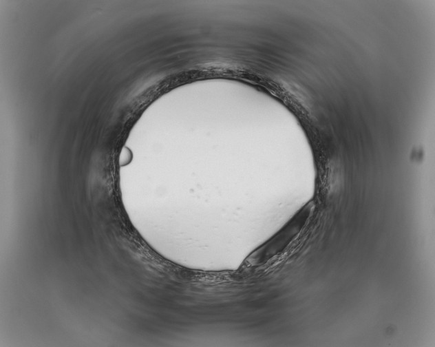 X0000089931015200707271753