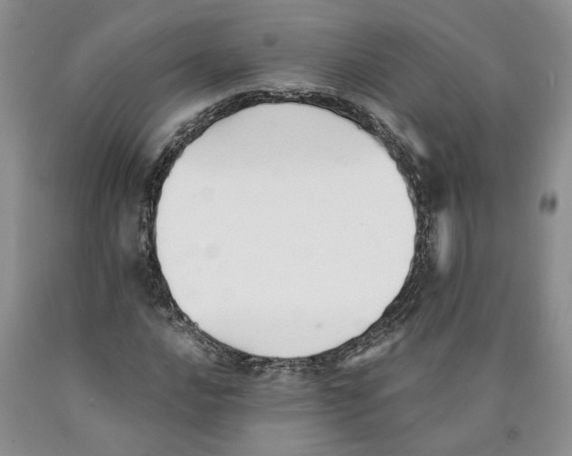 X0000089931016200707271753