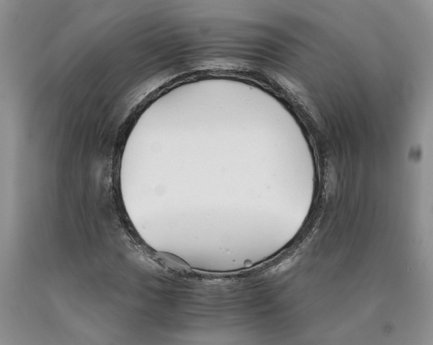 X0000089931017200707271753