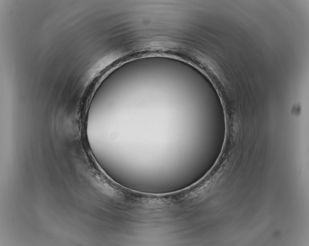 X0000089931018200707271753