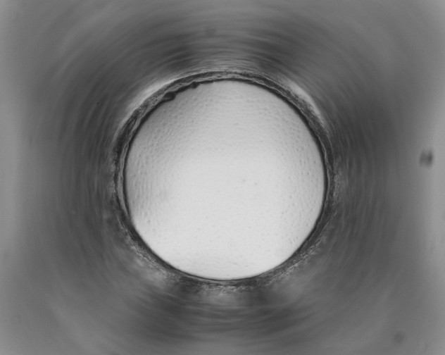 X0000089931019200707271753