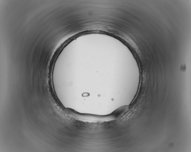 X0000089931020200707271753