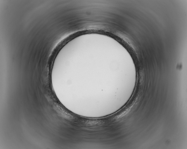 X0000089931021200707271753