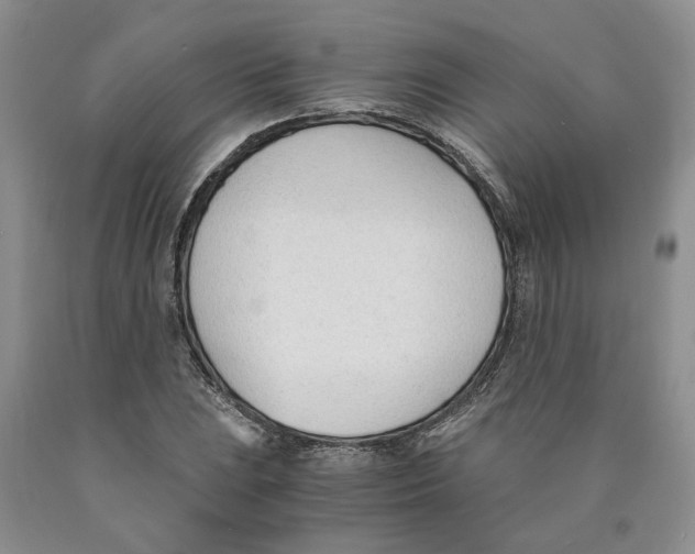 X0000089931023200707271753