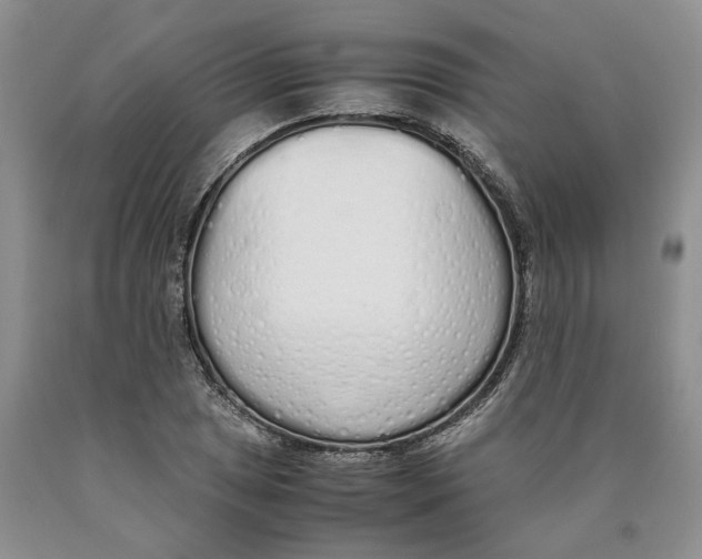 X0000089931025200707271753