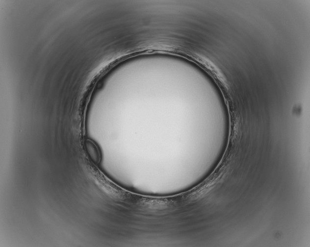 X0000089931027200707271753