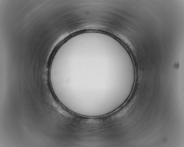 X0000089931029200707271753