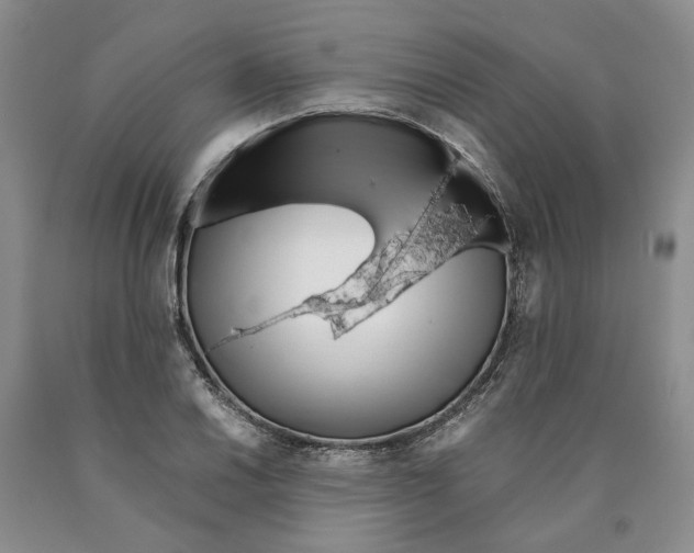 X0000089931030200707271753