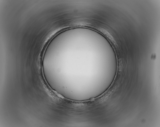 X0000089931031200707271753