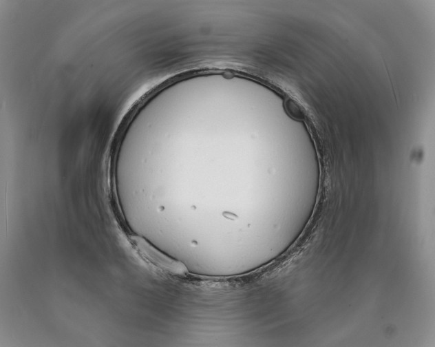 X0000089931032200707271753