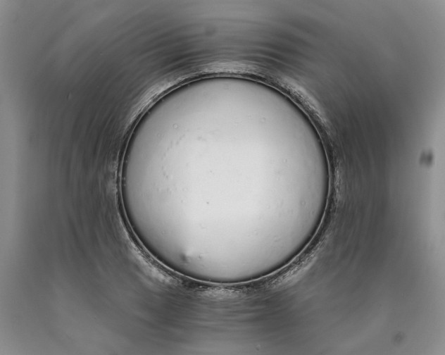 X0000089931033200707271753