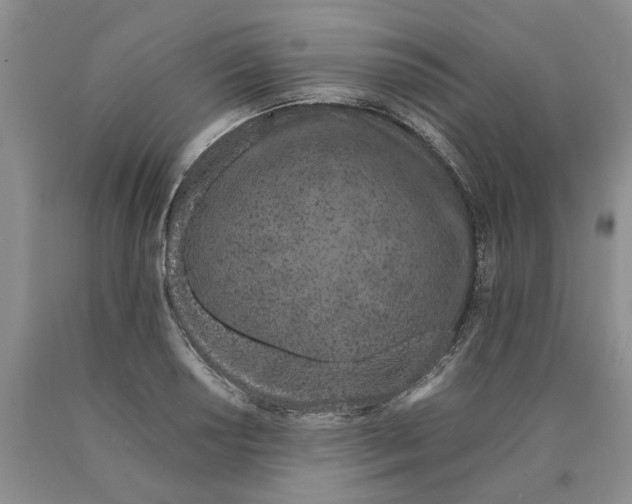 X0000089931034200707271753