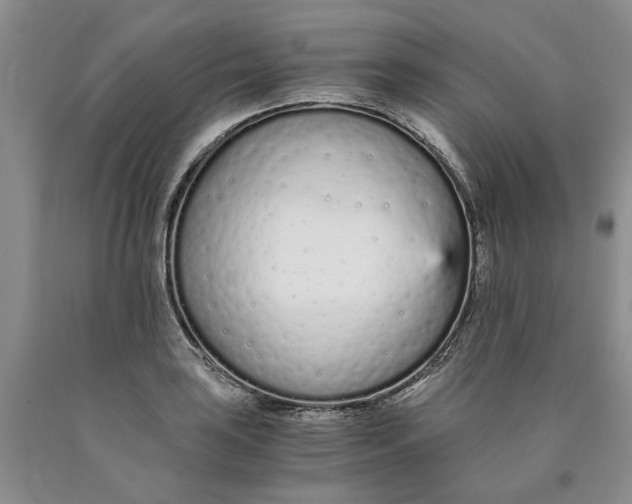 X0000089931035200707271753