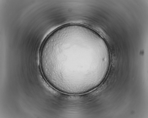 X0000089931036200707271753