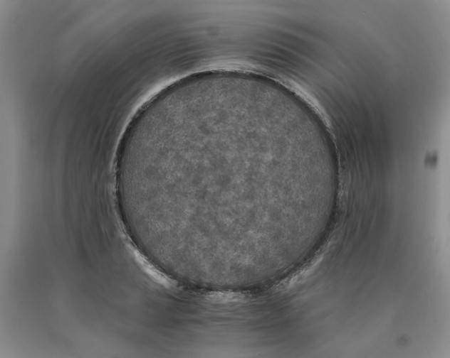 X0000089931037200707271753